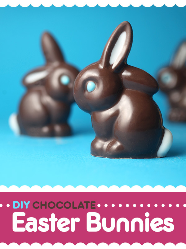 Chocolate Bunnies
