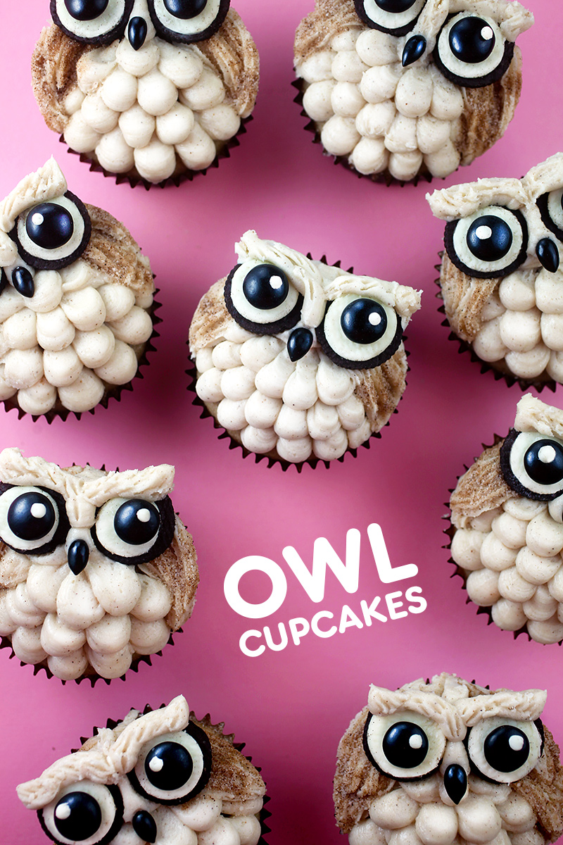 Easy Owl Cupcakes | Bakerella