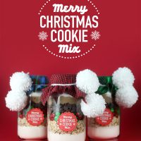 Merry Christmas Cookie Mix