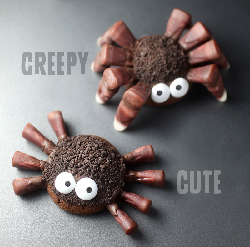 Cute and Creepy Spider Cookies