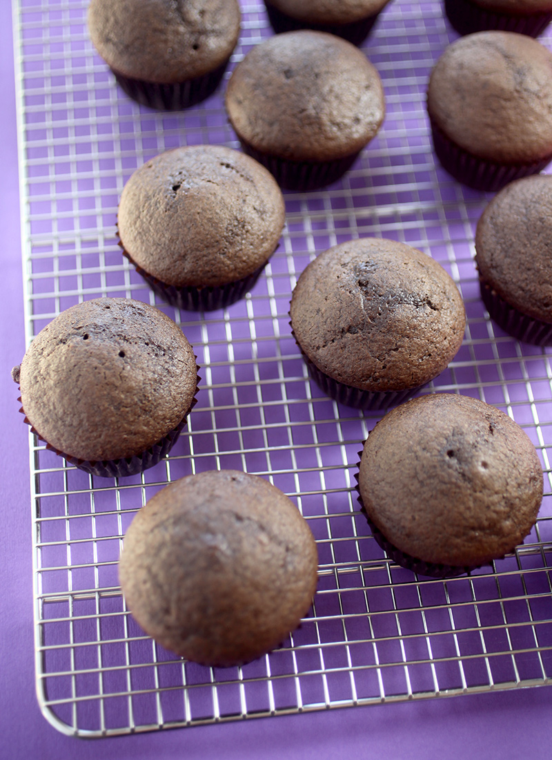 Chocolate Cupcakes