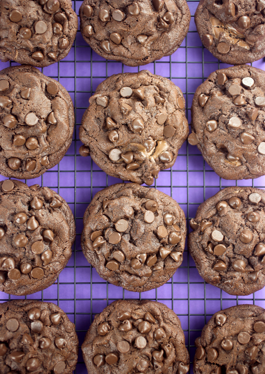 Chocolate Cookies