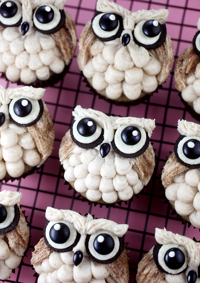 Big Eyed Owl Cupcakes