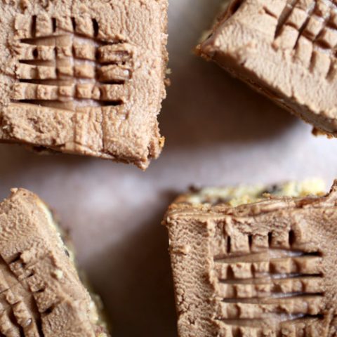 Peanut Butter Chocolate Chip Brownies