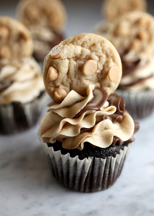 Chocolate Peanut Butter Cupcakes - Bakerella