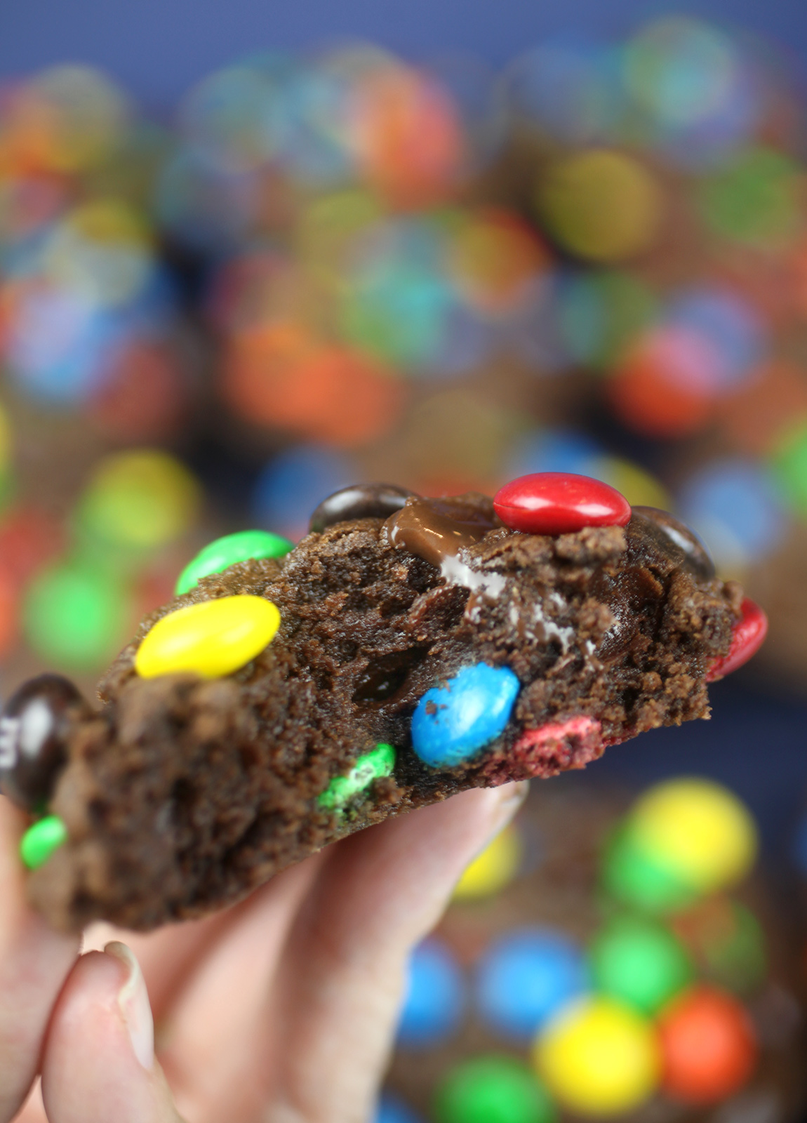 Double Chocolate Candy Cookies