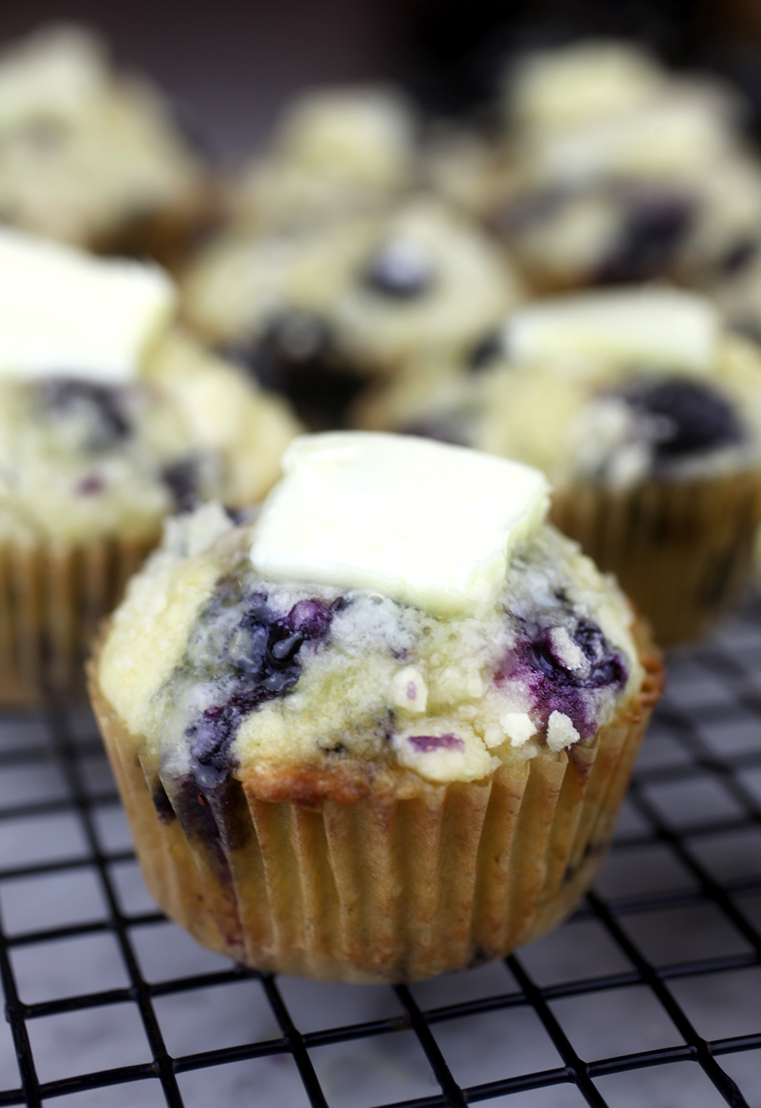 Warm Blueberry Muffins