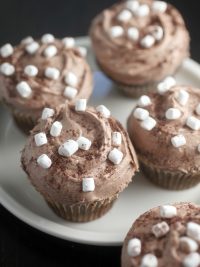 Cocoa Cupcakes