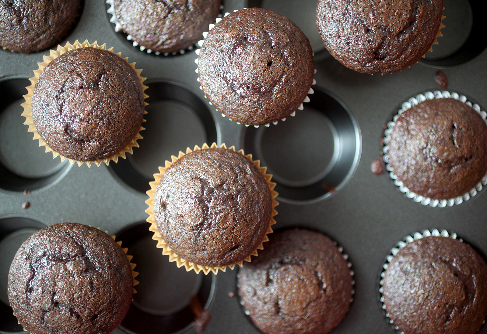 Chocolate Cupcakes