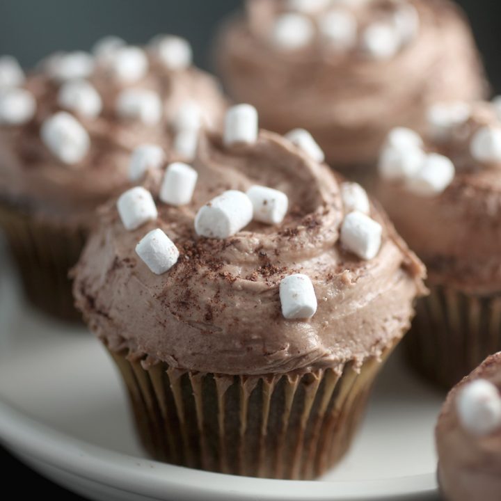 Cocoa Cupcakes with Marshmallows