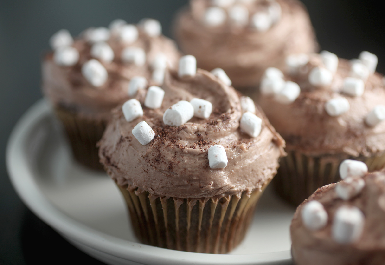 Cocoa Cupcakes with Marshmallows