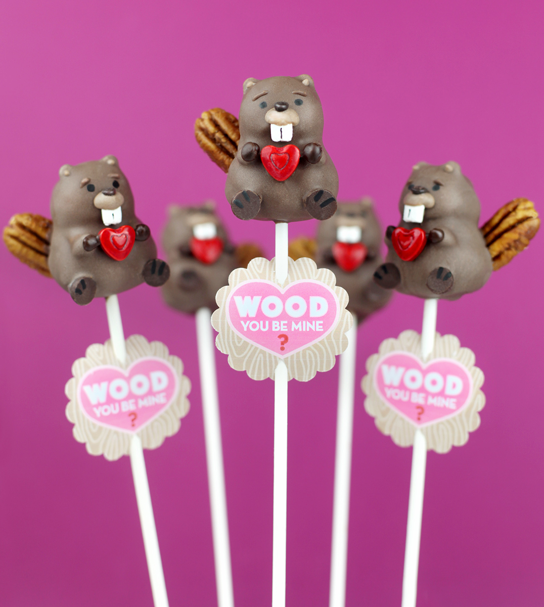 Beaver Cake Pops