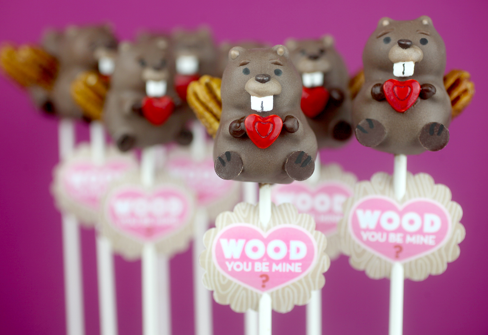 Beaver Cake Pop with Wood you be mine treat tags
