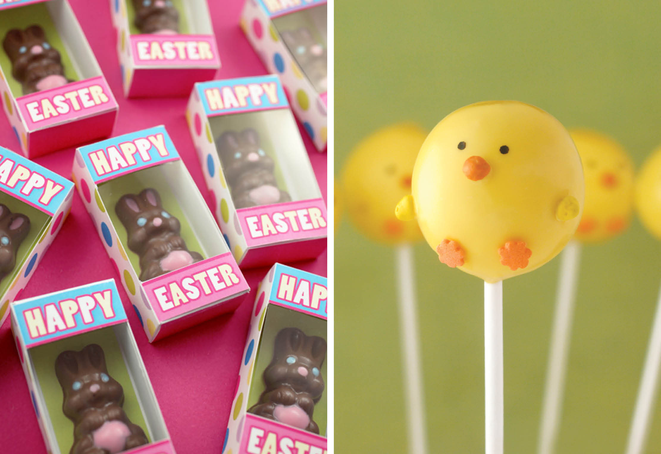 Cajas de conejos y paletas de pastel de pollito