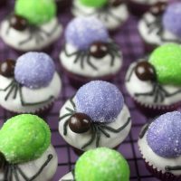 Spider Bites Miniature Cupcakes