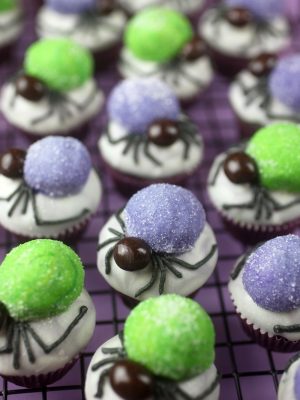 Spider Bites Miniature Cupcakes