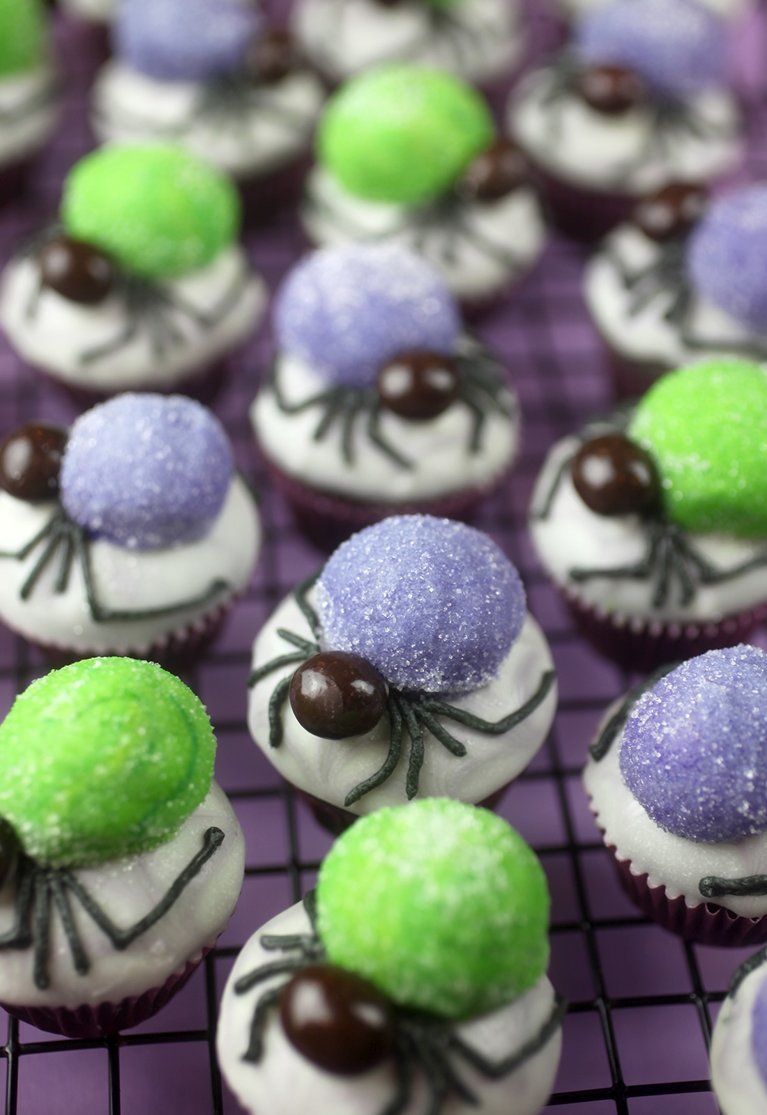 Spider Bites Miniature Cupcakes