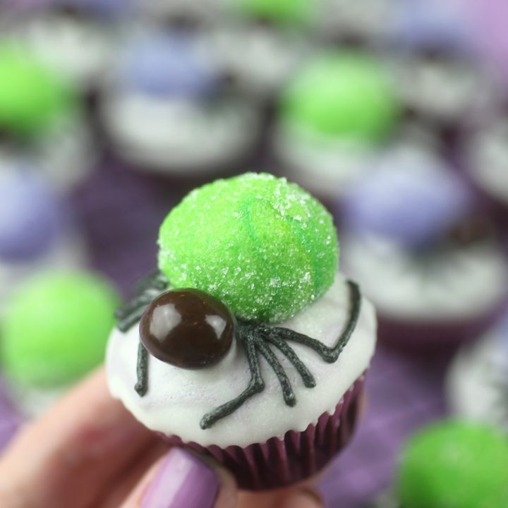 Mini Spider Cupcake