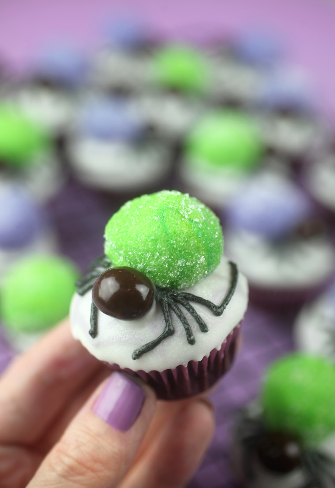 Mini Spider Cupcake