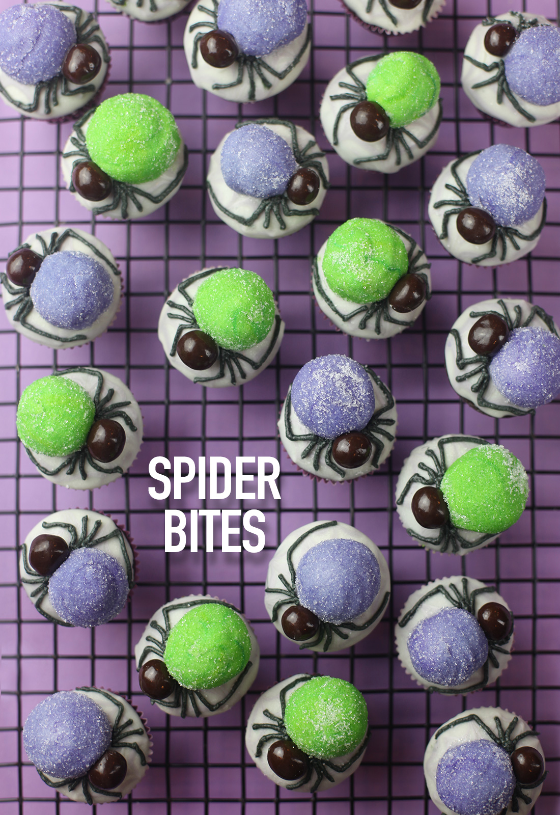 Spider Bites Mini Cupcakes