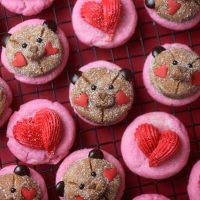 Sugar Cookie Bears