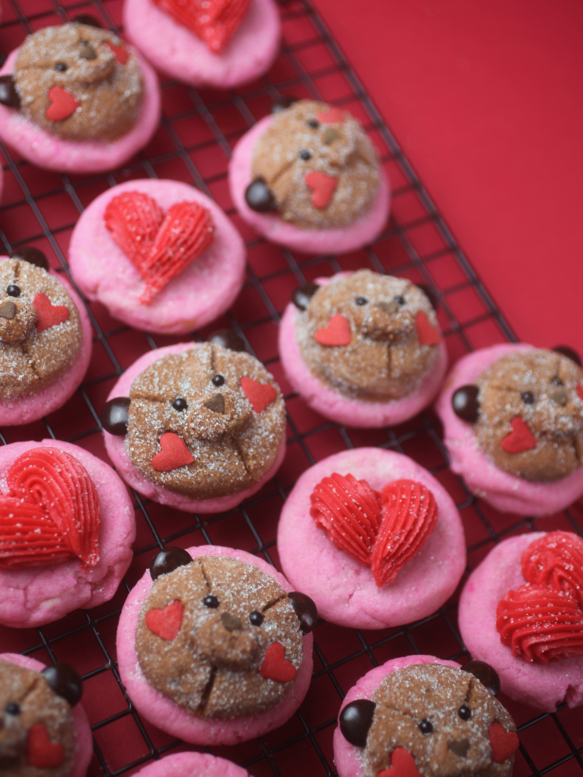 Sugar Cookie Bears