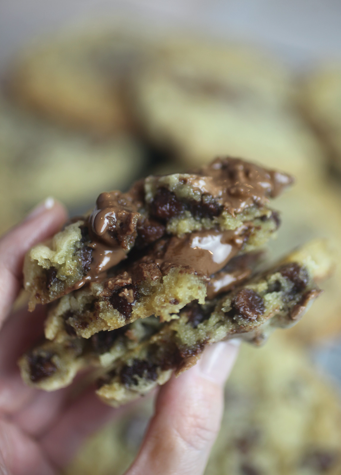 Milk Chocolate Chip Truffle Cookies