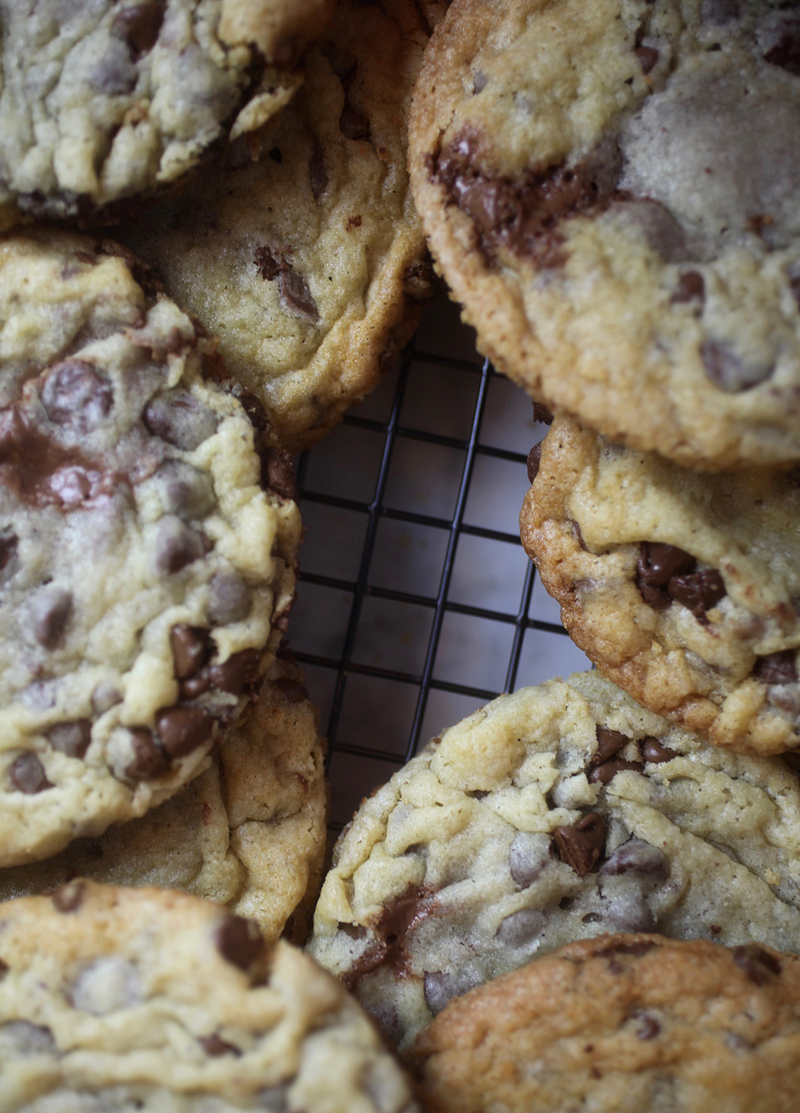 Milk Chocolate Chip Truffle Cookies